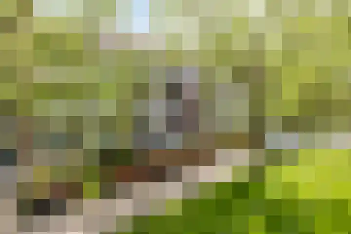 Populierenlaan 115 Groningen thumbnail 30