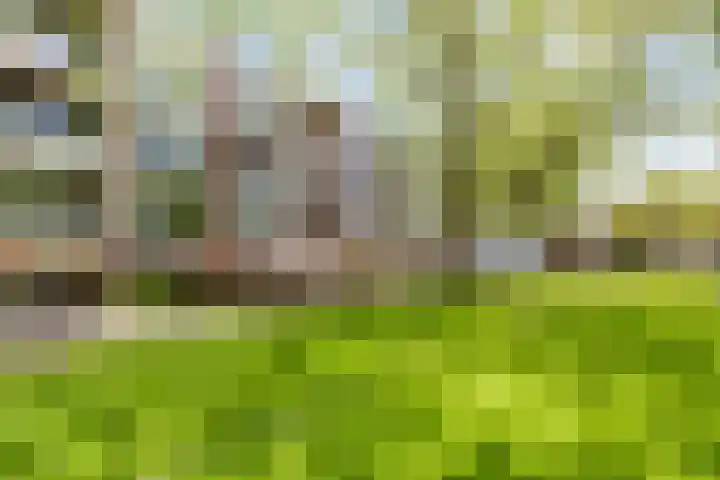 Populierenlaan 115 Groningen thumbnail 31