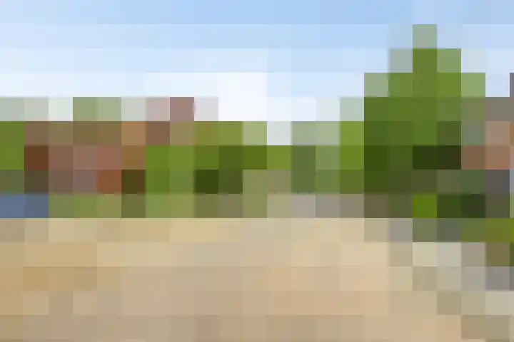 Populierenlaan 115 Groningen thumbnail 33