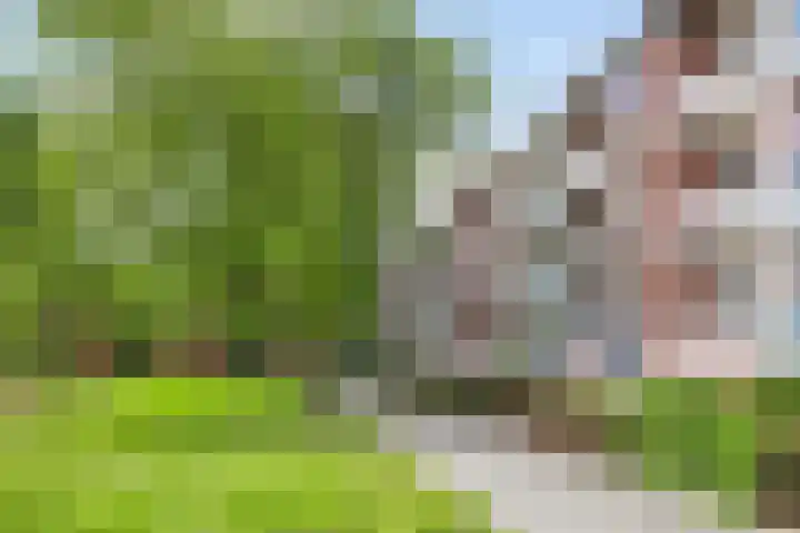 Populierenlaan 115 Groningen thumbnail 37