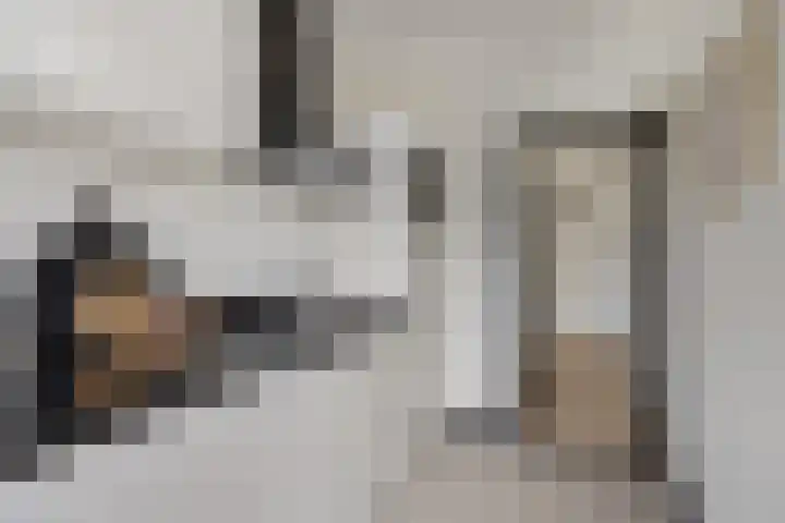 Populierenlaan 115 Zwanenburg thumbnail 10