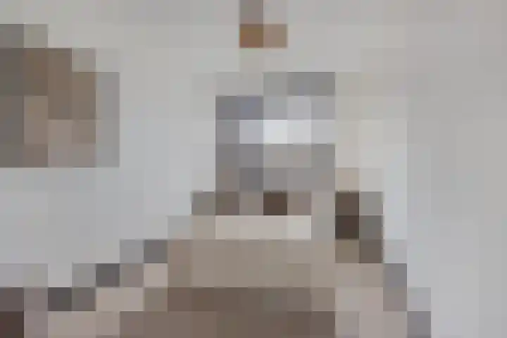 Populierenlaan 115 Zwanenburg thumbnail 13