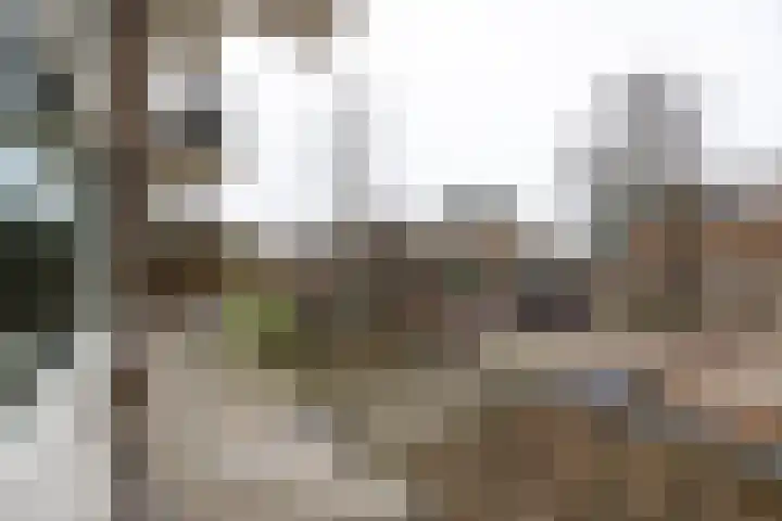 Populierenlaan 115 Zwanenburg thumbnail 17