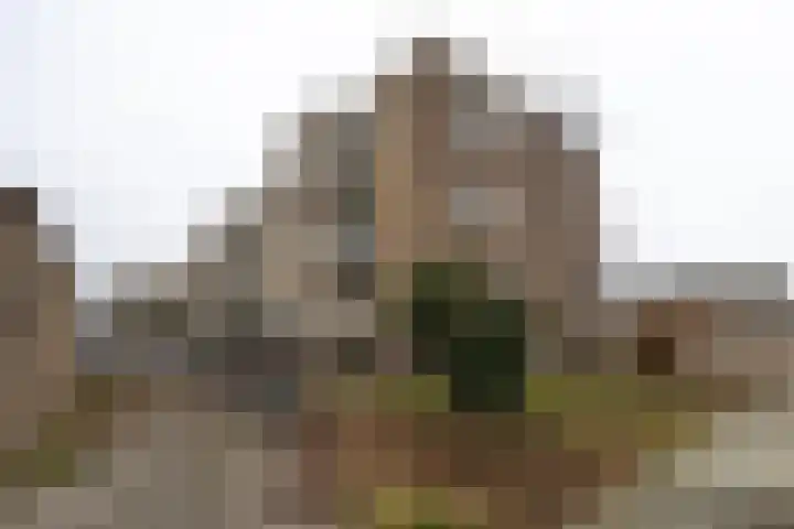 Populierenlaan 115 Zwanenburg thumbnail 20