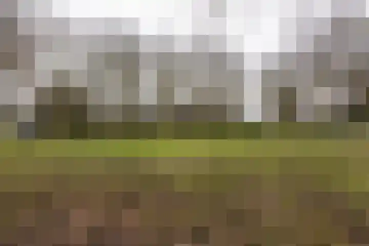 Populierenlaan 115 Zwanenburg thumbnail 21