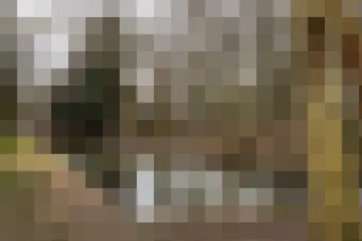 Populierenlaan 115 Zwanenburg thumbnail 22