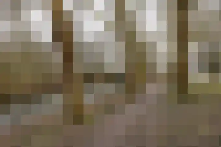 Populierenlaan 115 Zwanenburg thumbnail 23