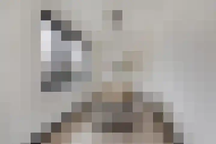 Populierenlaan 115 Zwanenburg thumbnail 6