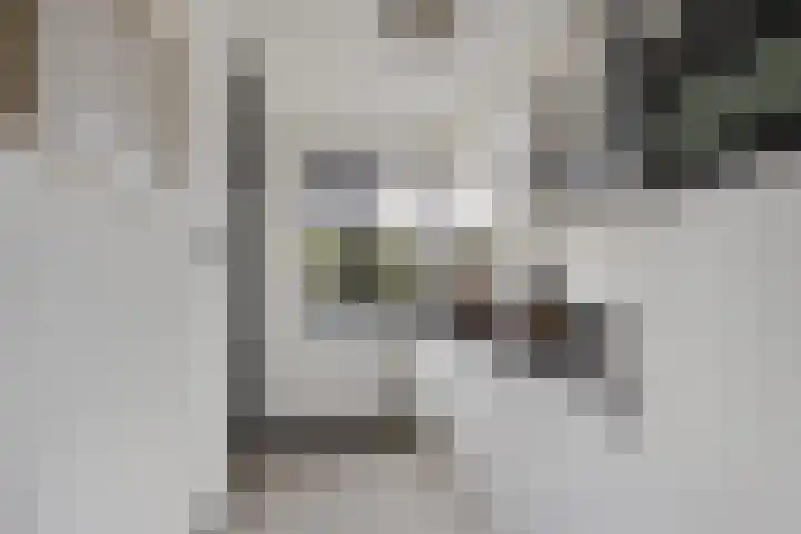 Populierenlaan 115 Zwanenburg thumbnail 9