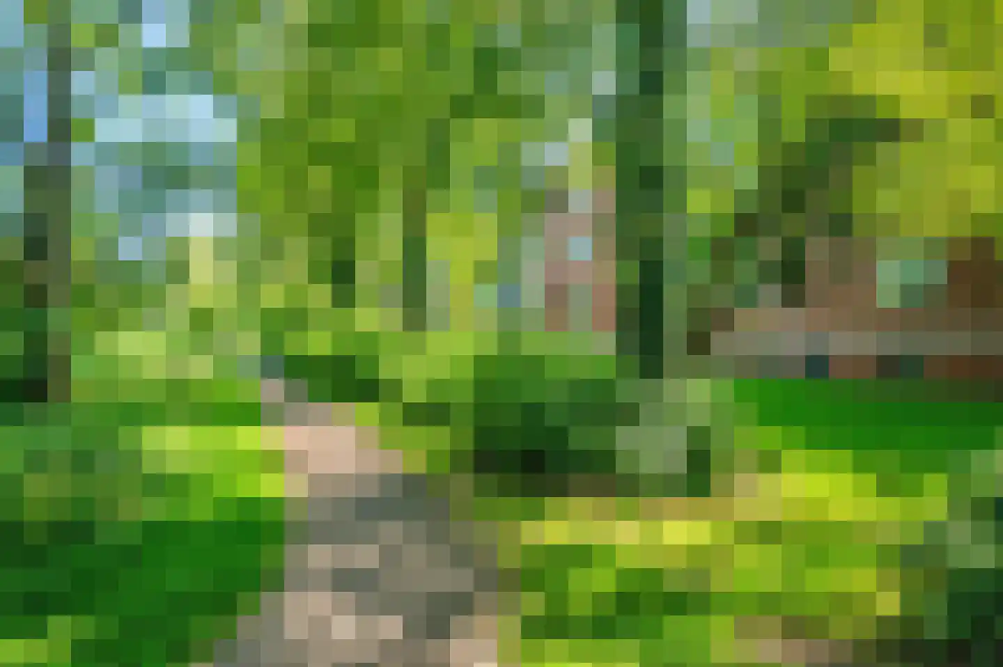 Populierenlaan 119 Groningen thumbnail 30