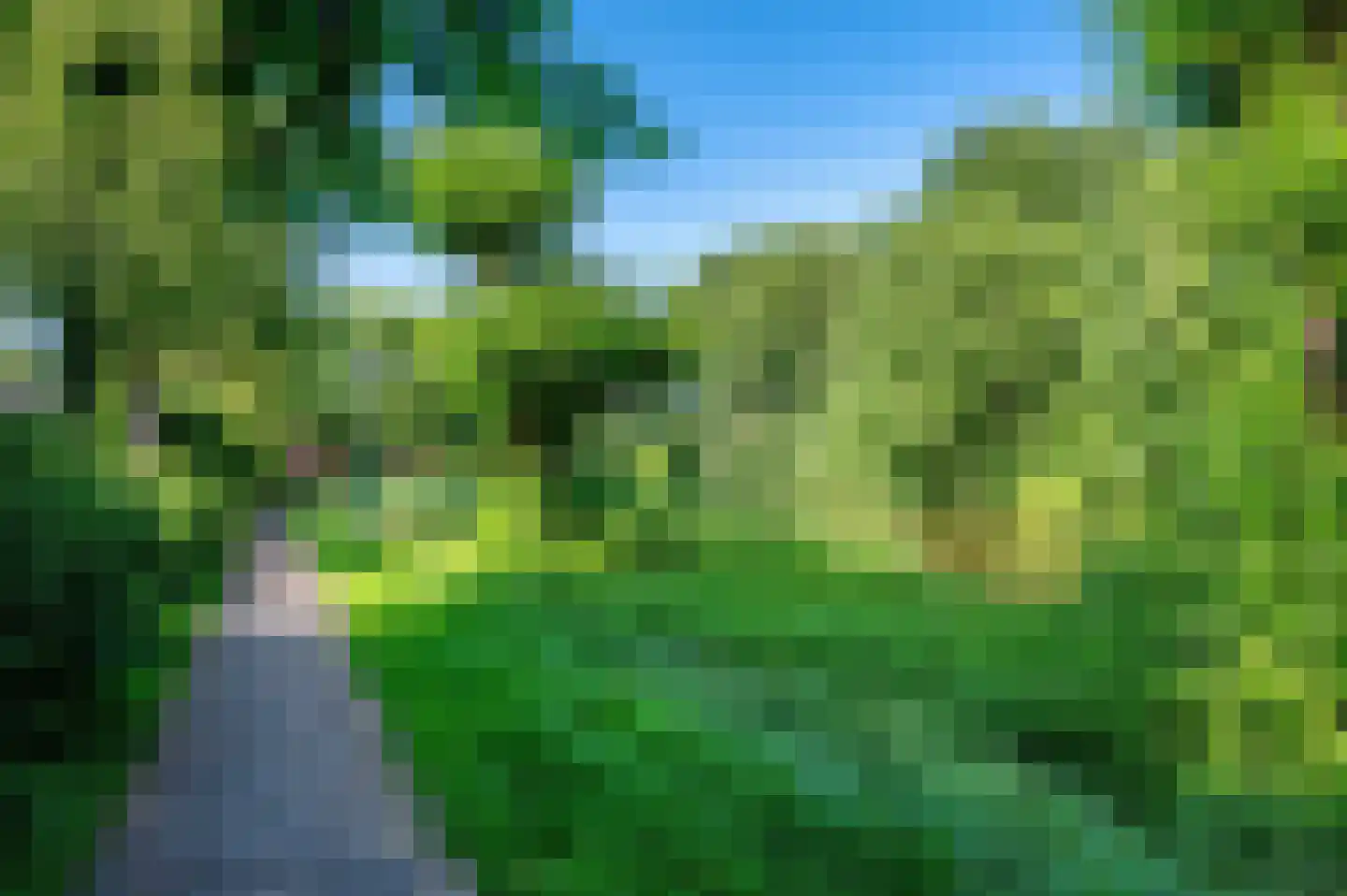 Populierenlaan 119 Groningen thumbnail 31