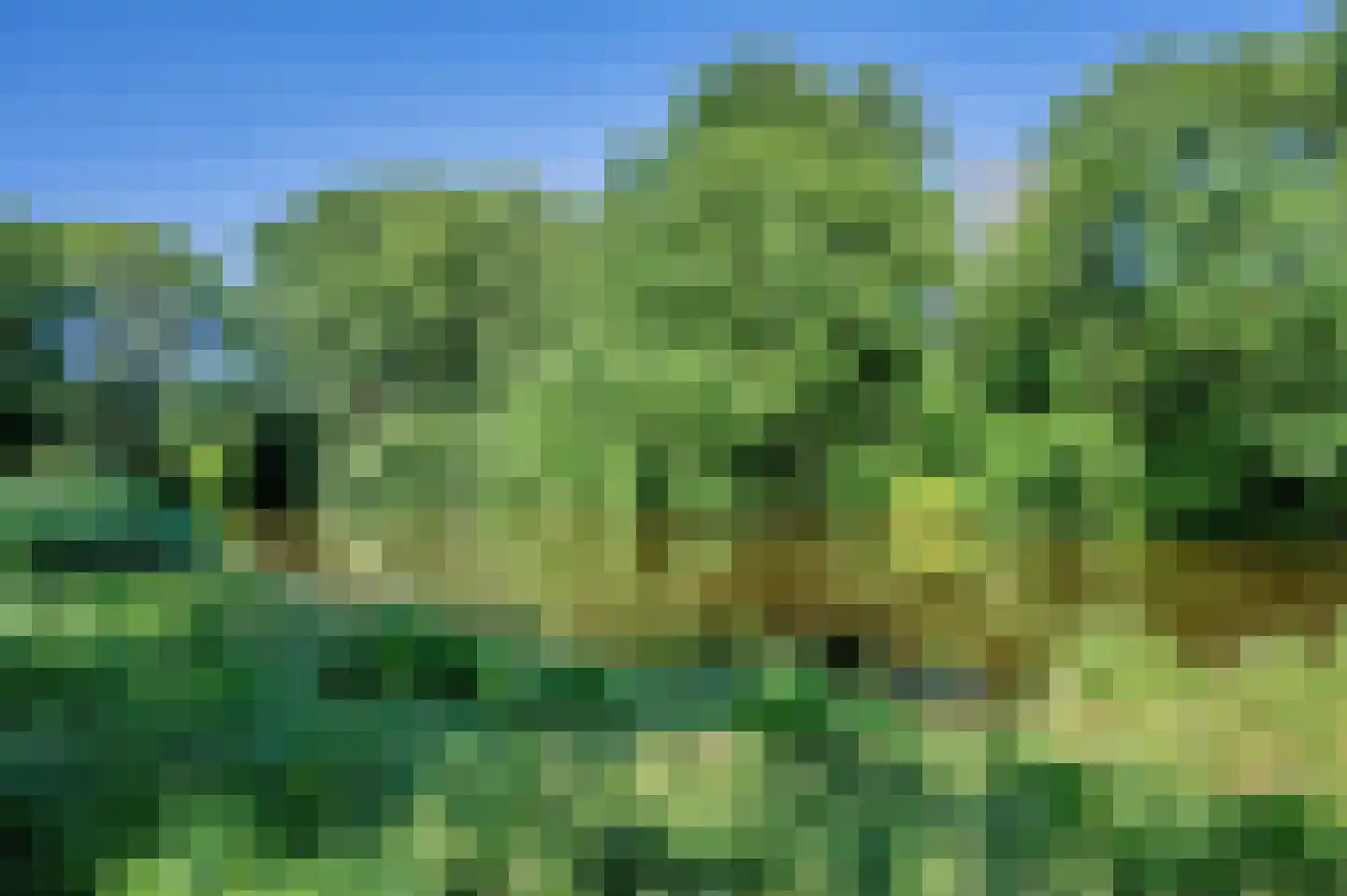 Populierenlaan 119 Groningen thumbnail 32