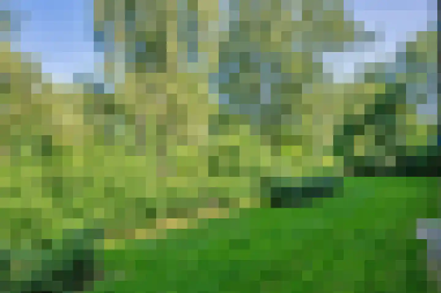 Populierenlaan 119 Groningen thumbnail 33