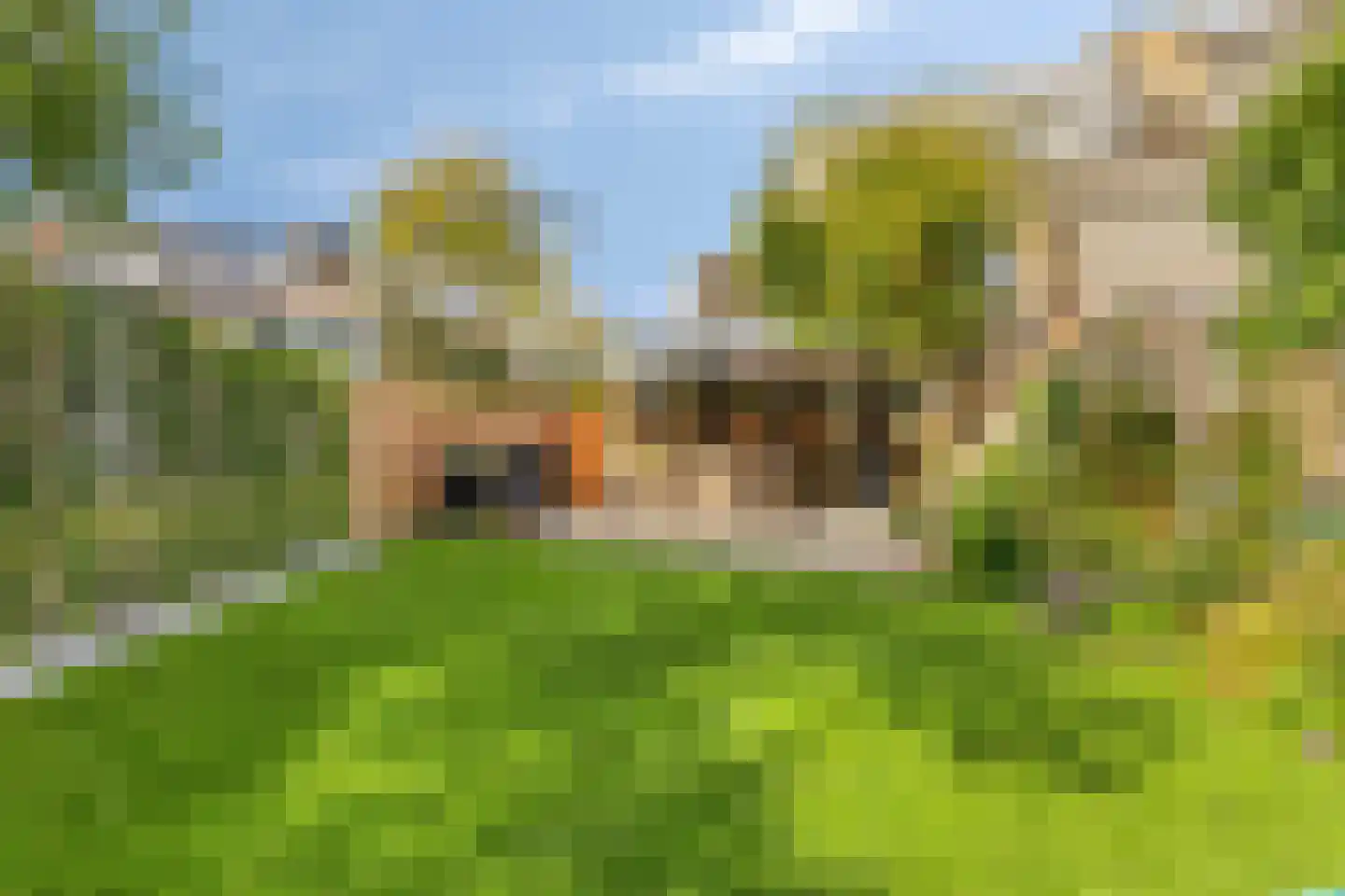 Populierenlaan 119 Krimpen aan den IJssel thumbnail 28
