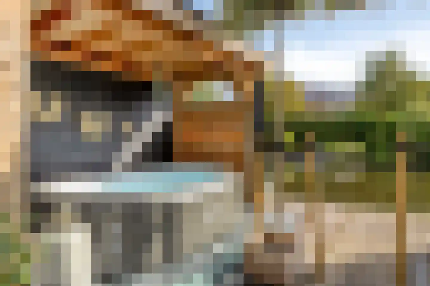 Populierenlaan 119 Krimpen aan den IJssel thumbnail 30
