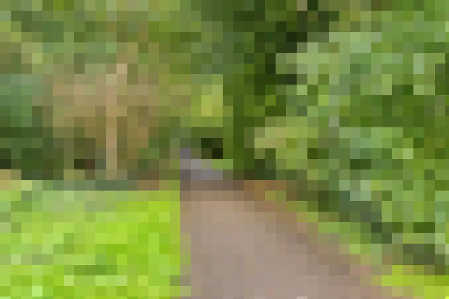Populierenlaan 119 Krimpen aan den IJssel thumbnail 52