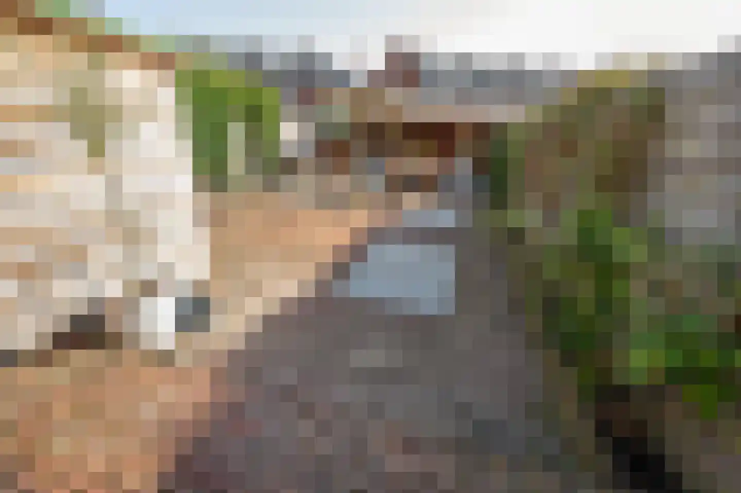 Populierenlaan 12 Beverwijk thumbnail 23