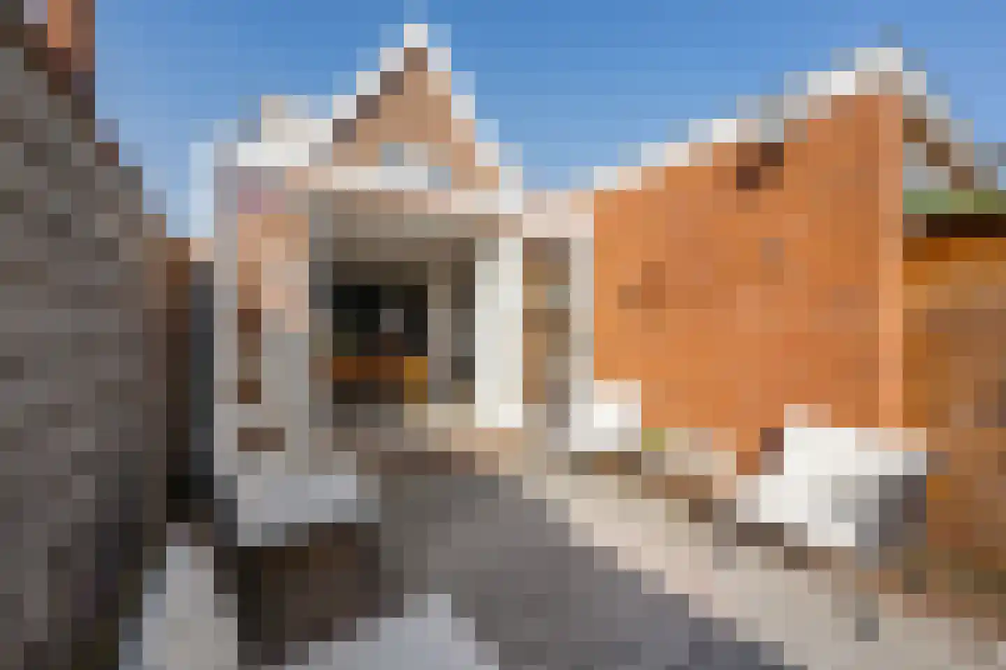 Populierenlaan 12 Beverwijk thumbnail 24