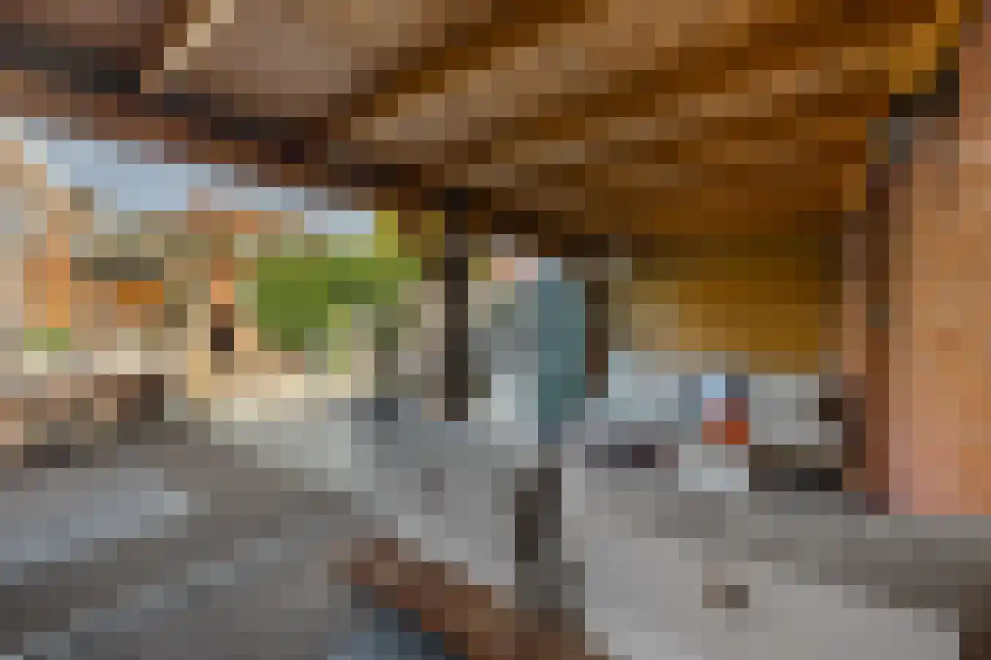 Populierenlaan 12 Beverwijk thumbnail 32