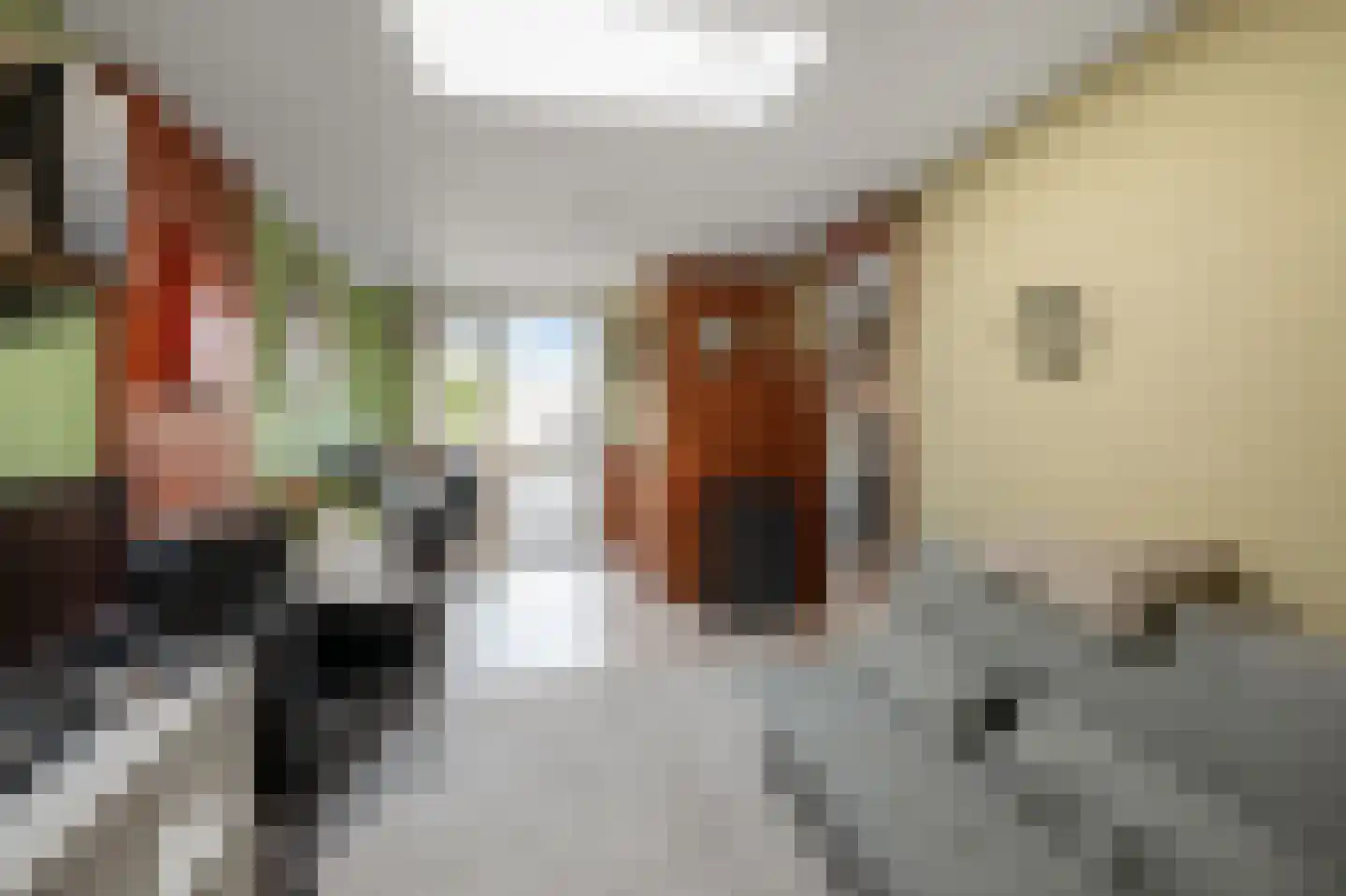 Populierenlaan 12 Beverwijk thumbnail 35
