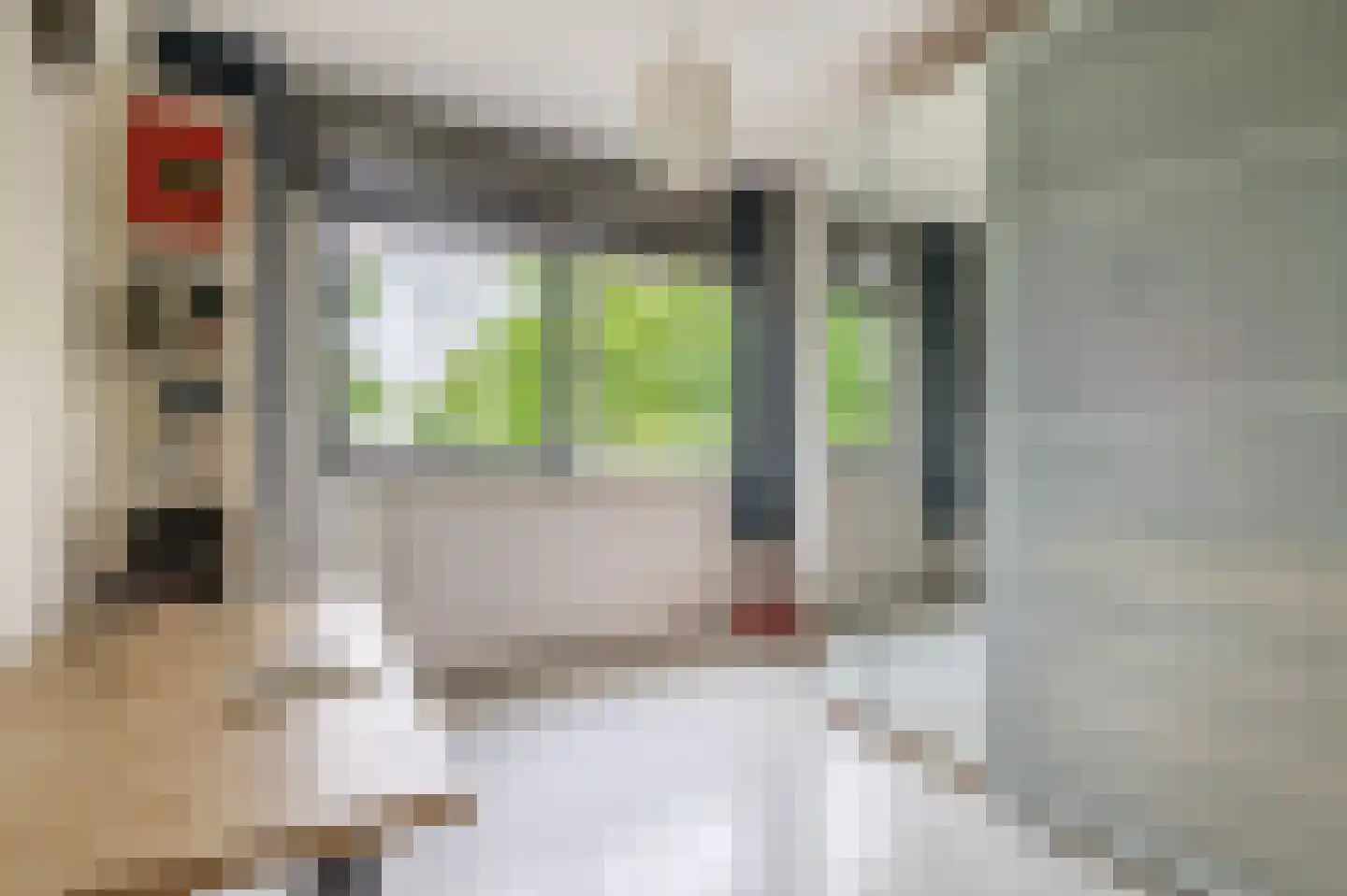 Populierenlaan 120 Krimpen aan den IJssel thumbnail 32