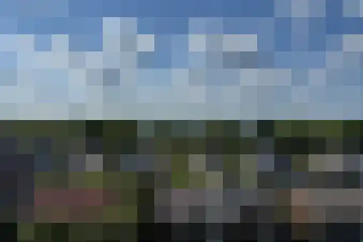Populierenlaan 125 Amstelveen thumbnail 21