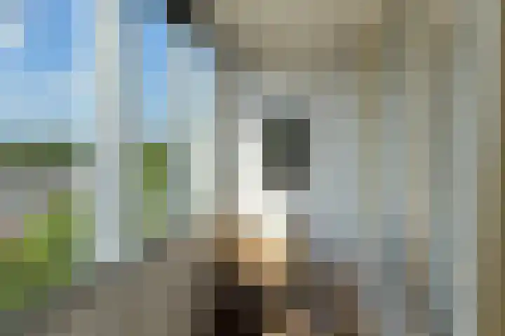 Populierenlaan 125 Amstelveen thumbnail 7