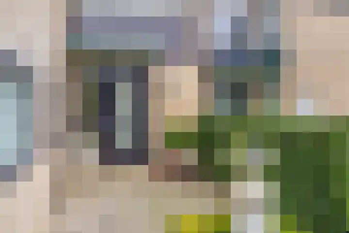 Populierenlaan 125 Krimpen aan den IJssel thumbnail 11