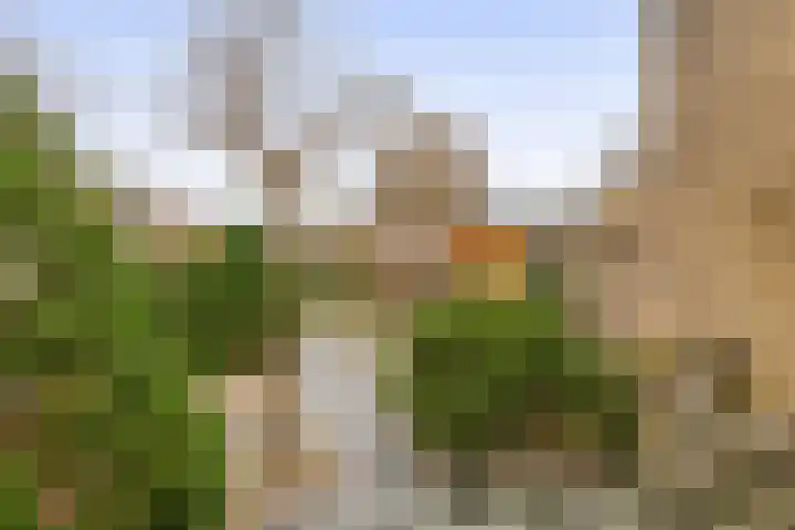 Populierenlaan 125 Krimpen aan den IJssel thumbnail 26