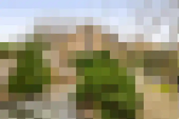Populierenlaan 125 Krimpen aan den IJssel thumbnail 27