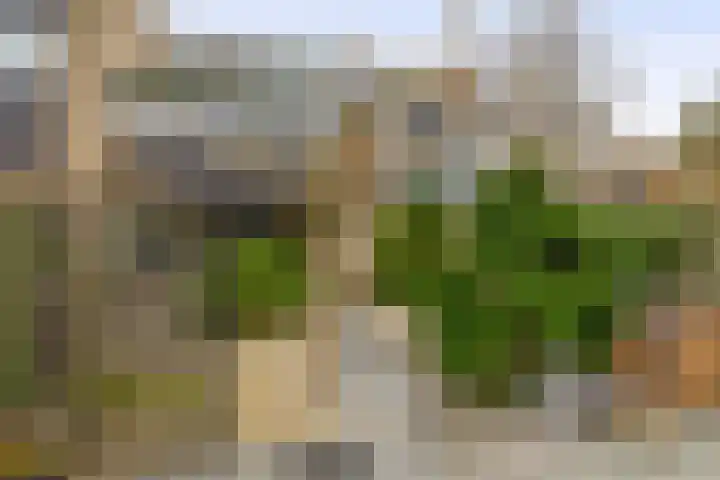 Populierenlaan 125 Krimpen aan den IJssel thumbnail 28
