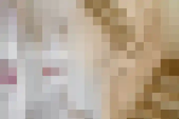 Populierenlaan 125 Krimpen aan den IJssel thumbnail 29