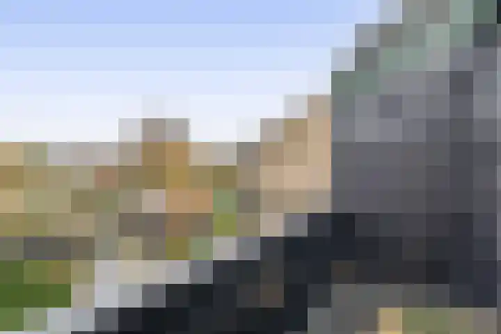 Populierenlaan 125 Krimpen aan den IJssel thumbnail 32