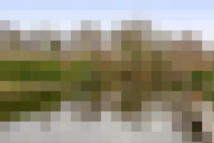 Populierenlaan 125 Krimpen aan den IJssel thumbnail 40