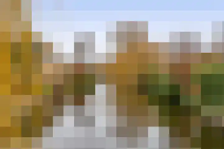 Populierenlaan 125 Krimpen aan den IJssel thumbnail 41