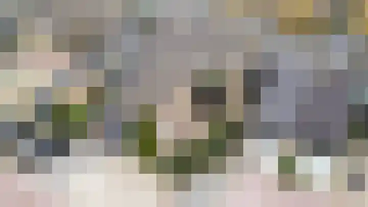 Populierenlaan 125 Krimpen aan den IJssel thumbnail 51