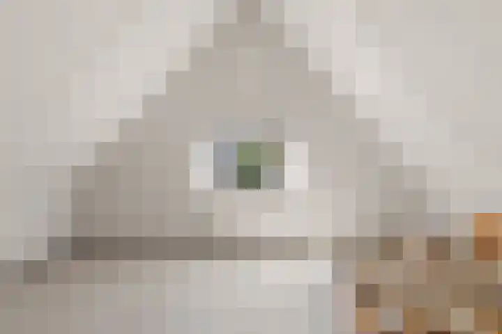 Populierenlaan 13 Stolwijk thumbnail 27