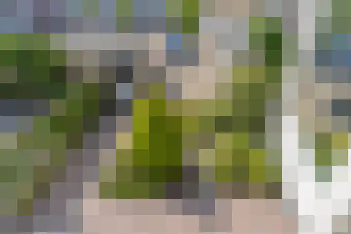Populierenlaan 13 Stolwijk thumbnail 28