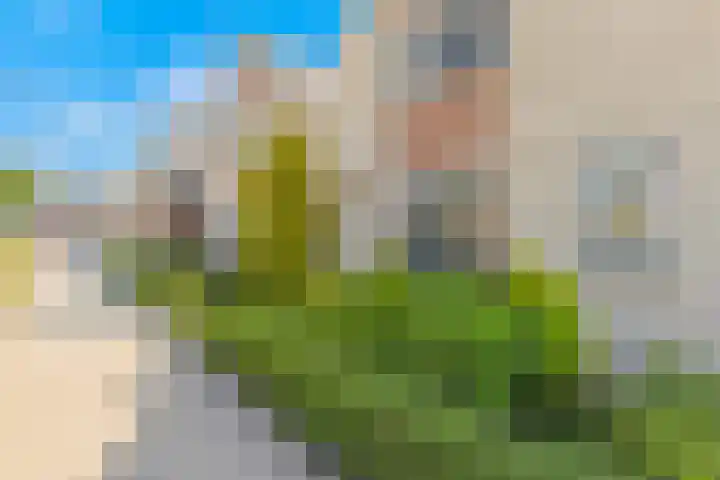 Populierenlaan 13 Stolwijk thumbnail 41