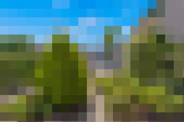 Populierenlaan 13 Stolwijk thumbnail 46