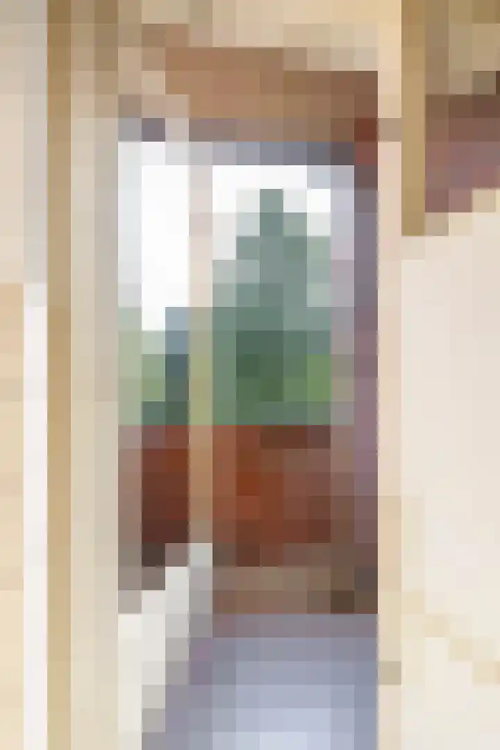 Populierenlaan 139 Groningen thumbnail 13