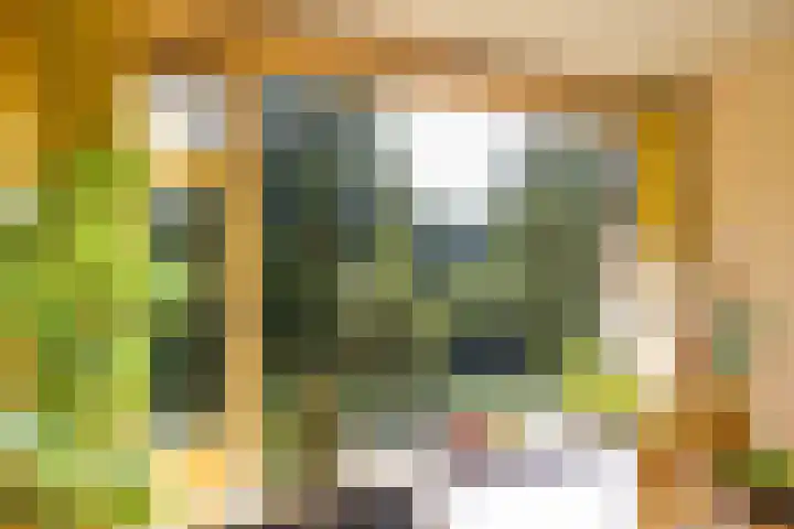 Populierenlaan 139 Groningen thumbnail 24