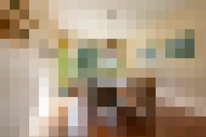 Populierenlaan 139 Groningen thumbnail 26