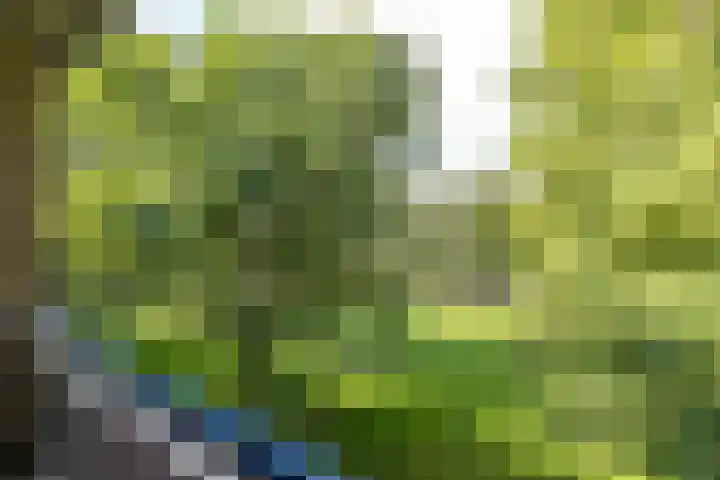 Populierenlaan 139 Groningen thumbnail 29