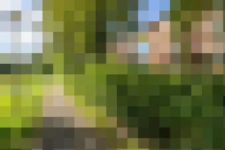 Populierenlaan 139 Groningen thumbnail 33