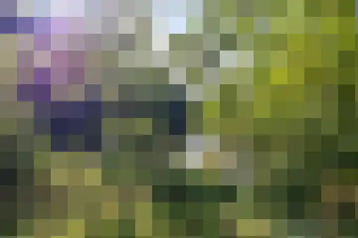 Populierenlaan 139 Groningen thumbnail 34
