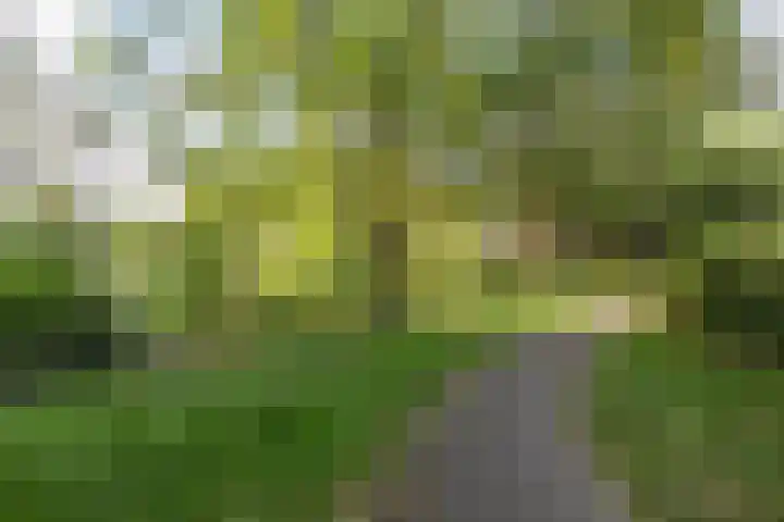 Populierenlaan 139 Groningen thumbnail 35