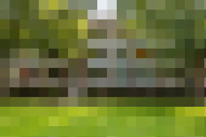 Populierenlaan 139 Groningen thumbnail 4