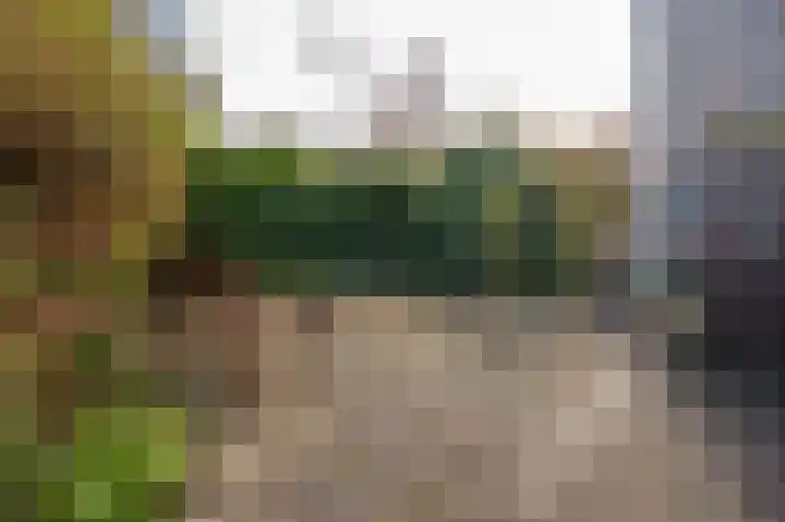 Populierenlaan 14 Middelburg thumbnail 18