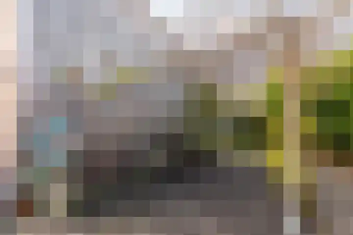 Populierenlaan 14 Middelburg thumbnail 19